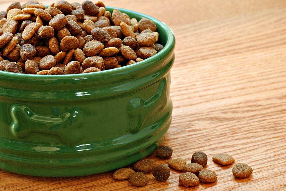 10 Black Friday 2024 dog food deals to check out